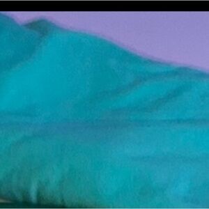 Sea foam green Lularoe leggings